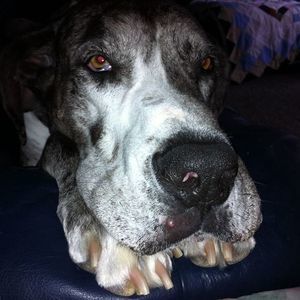 Meet your Posher, Lynn